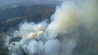 Incendie de montagne à Busan : reprise des opérations aériennes