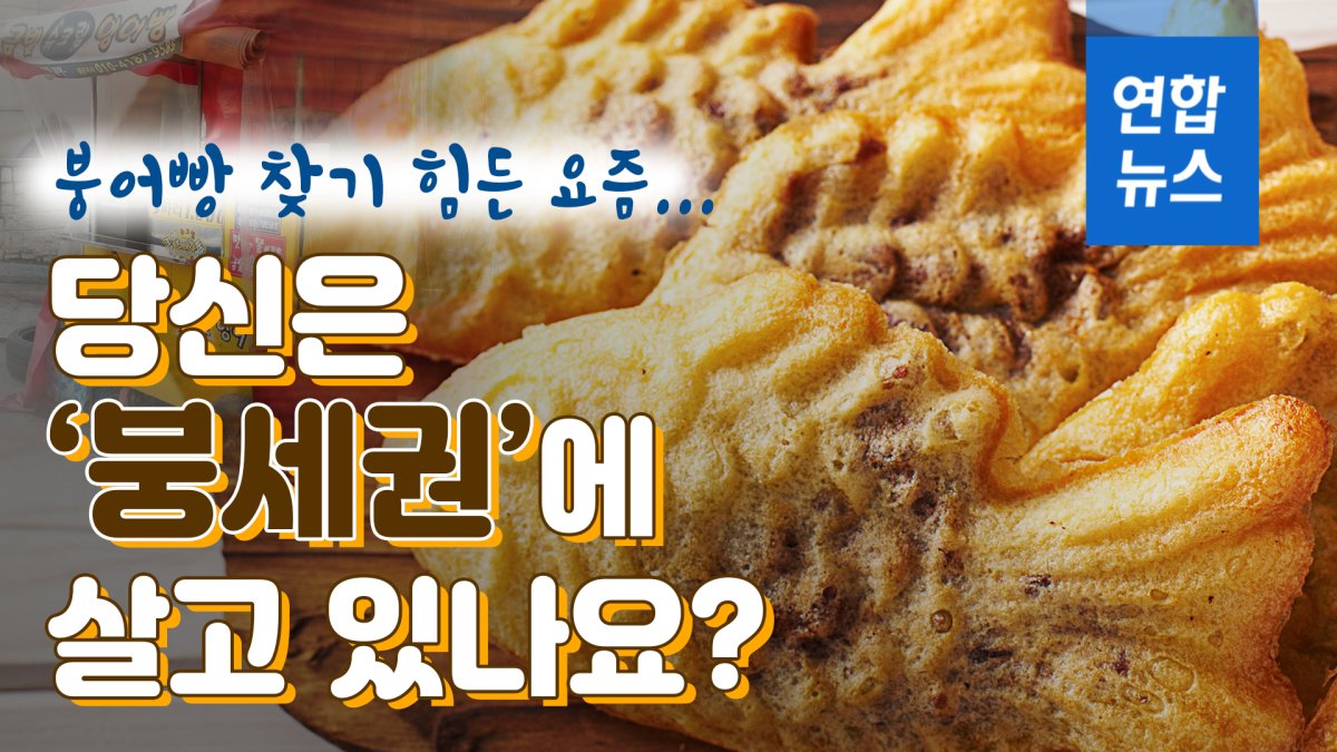 [D스토리] 붕어빵 찾기 힘든 요즘…당신은 붕세권에 살고 있나요? | 연합뉴스