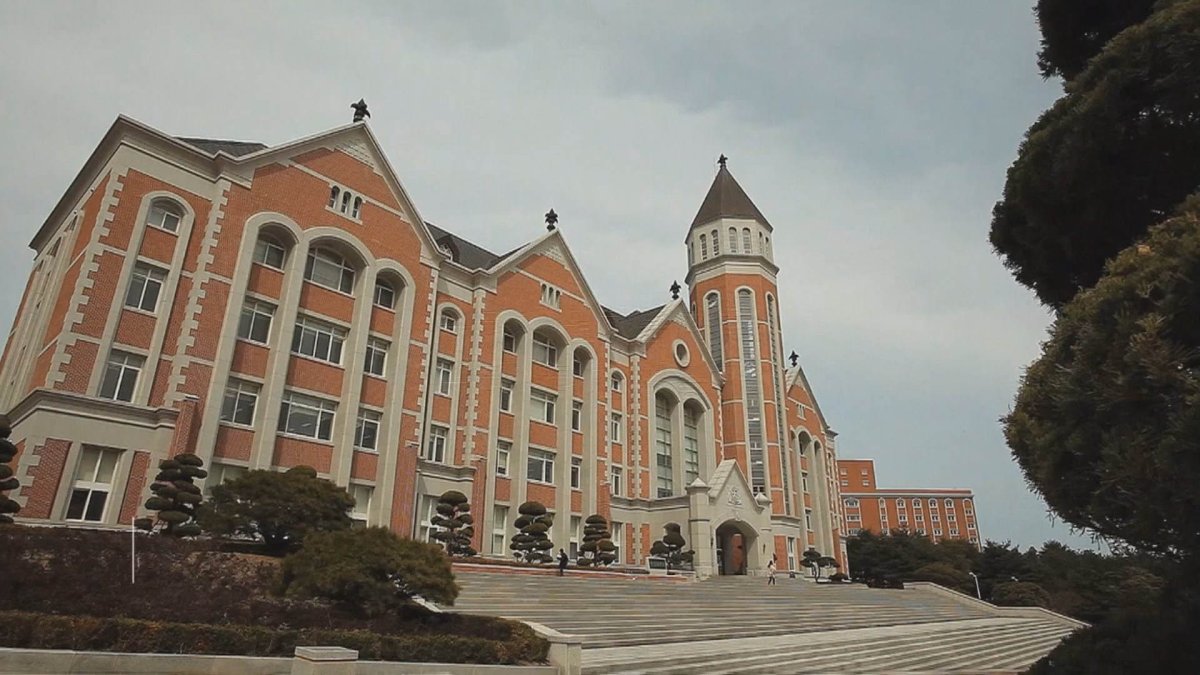 경동대 취업률 82%…4년제 대학 중 1위 | 연합뉴스
