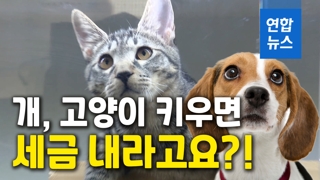 [뉴스피처] "개, 고양이 키우면 세금 내라고요?!"