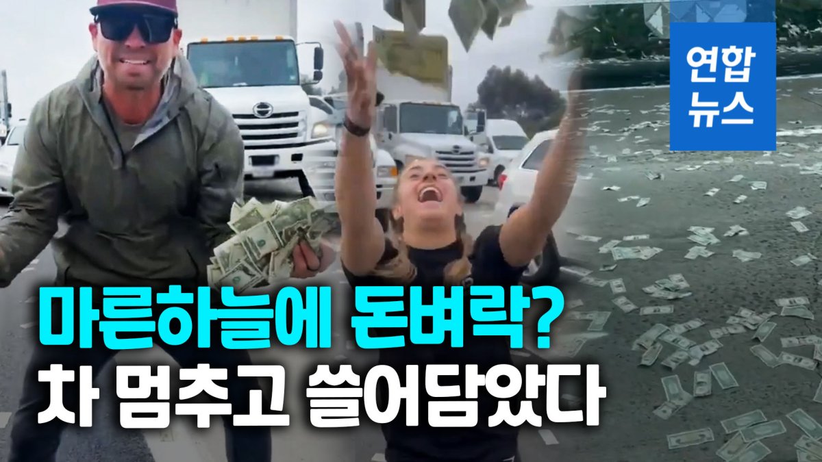 [영상] 하늘에서 현금이 비처럼?…미국 고속도로에 '돈벼락' 소동
