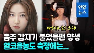 [영상] 배우 김새론, 음주운전 혐의 입건…가드레일·가로수 들이받아