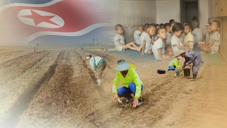 CIA: Se estima que la escasez alimentaria de Corea del Norte alcance las 860.000 toneladas
