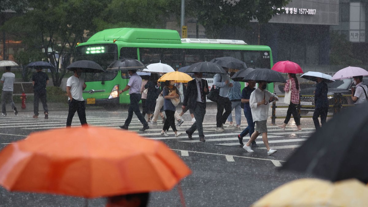 올해 장마 시작부터 폭우…서울 122㎜ 장대비