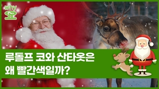 [Why요?] 루돌프 코와 산타 옷은 왜 빨간색일까?