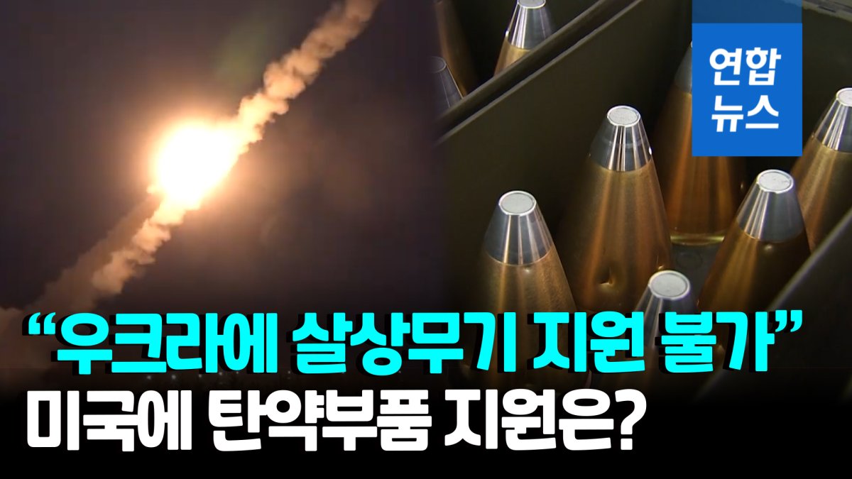 [영상] "한국, 미국에 부족한 무기 부품 공급해 우크라 지원 가능"