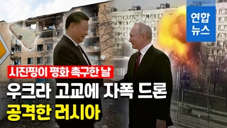 [영상] '평화' 운운 다음날 우크라 고교 폭격…학생 등 9명 사망