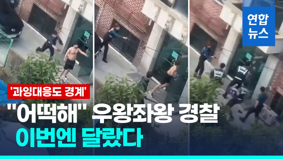 [영상] 경찰봉 한번, 테이저건 한방…흉기난동 제압 '찰떡호흡'