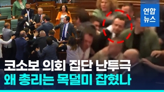  주먹 '퍽퍽' 코소보 의회 난투극…목덜미 잡힌 총리 급히 피신