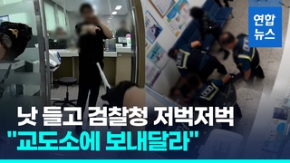  검찰 민원실서 흉기난동…"벌금 낼 돈 없으니 교도소 보내달라"