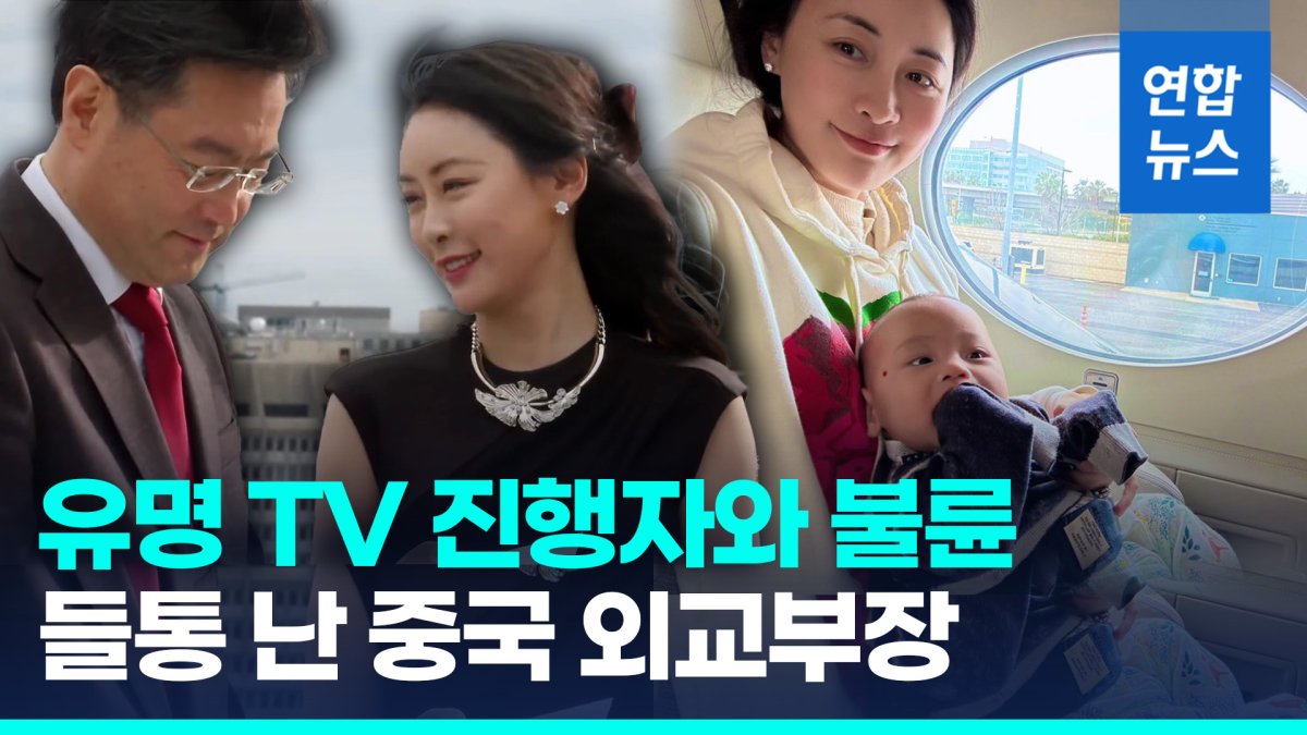 [영상] "전 중국 외교부장 내연녀는 유명 방송인…미국서 대리모 출산"