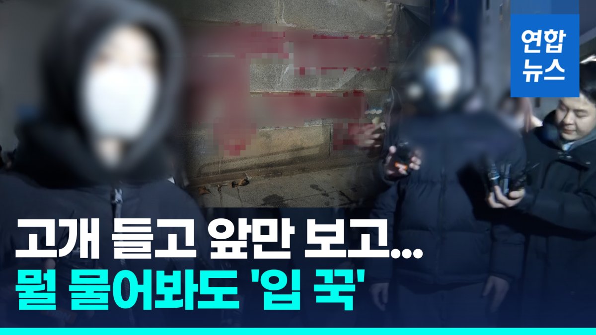 [영상] "자진 출석 이유는?"…경복궁 '두번째 낙서범' 질문엔 묵묵부답