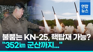 북한, 첫 초대형방사포 핵반격훈련…"사거리 352km 목표 명중"