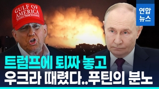 [영상] 러, 푸틴·트럼프 통화 후 우크라에 대규모 야간 공습
