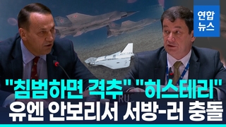 [영상] '나토 영공침범' 두고 안보리서 서방-러시아 날선 설전