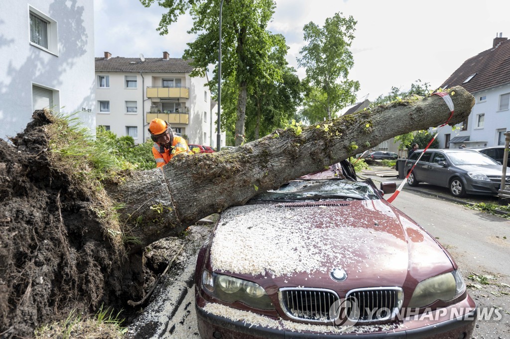독일 립슈타트의 한 노동자가 토네이도 강타로 차량 위로 쓰러진 나무를 제거하고 있따.