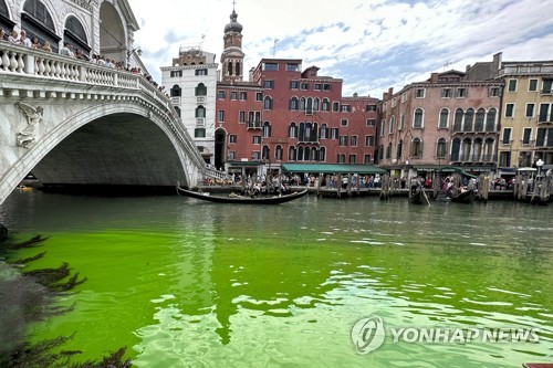 녹색으로 물든 리알토 다리 인근 운하