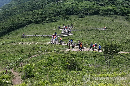 천상의 화원' 점봉산 곰배령 산림 훼손 특별단속 | 연합뉴스