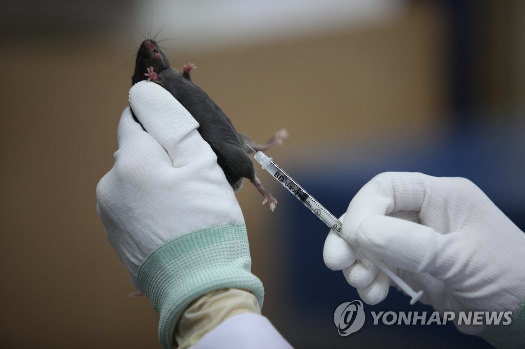 "기후변화로 쥐 먹잇감 풍부해져…설치류 매개 질병 늘 수도"
