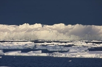 남극 얼음 해빙에 심해수 순환 느려져…지구생태·강우급변 우려