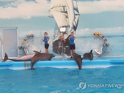 동물권단체 "돌고래 '태지', 퍼시픽랜드에 기증 반대" 서명운동