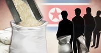 WFP "북한 식량지원, 지난해 3월이 마지막"