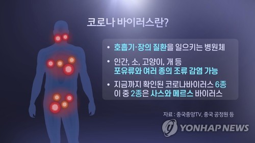 코로나바이러스란? (CG)