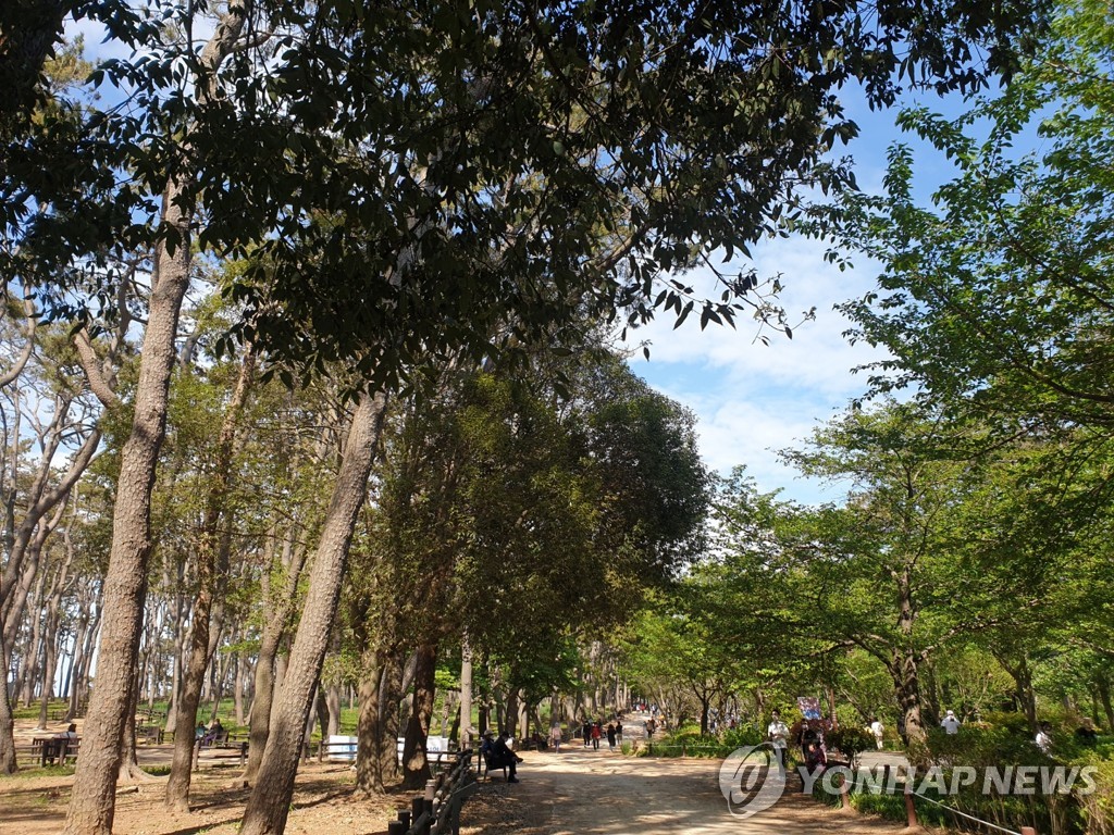 "해파랑길서 낭만캠핑을"…울산동구, 숙박형 캠핑 프로그램 선봬