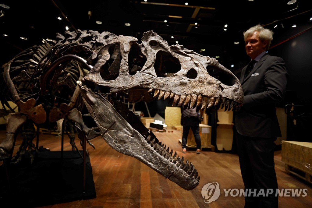 ′날카로운 이빨과 발톱′…경매에 나온 1억5000만년 최상위 포식자 ′알로사우루스′ | 연합뉴스