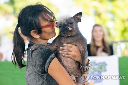 ′충분히 사랑스러워′…미 캘리포니아서 ′가장 못생긴 개′ 선발대회