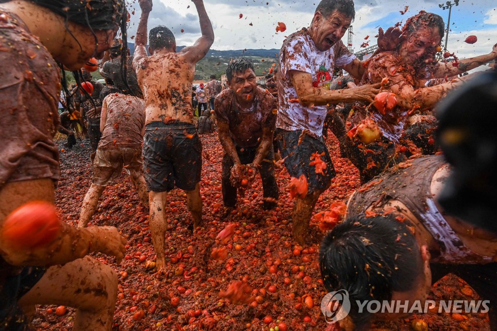 COLOMBIA-FESTIVAL-TOMATINA