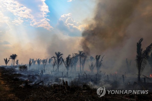 7월 아마존 불법 삼림 벌채 66% 감소, 6년 만에 최저치