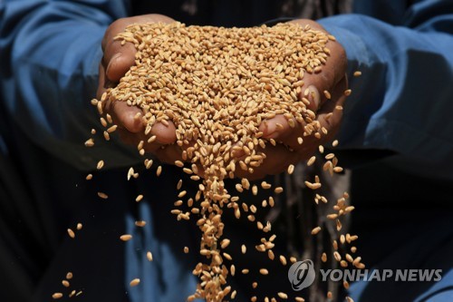 2분기 수입 곡물 가격 또 오른다…식용 10.4%↑, 사료용 13.6%↑
