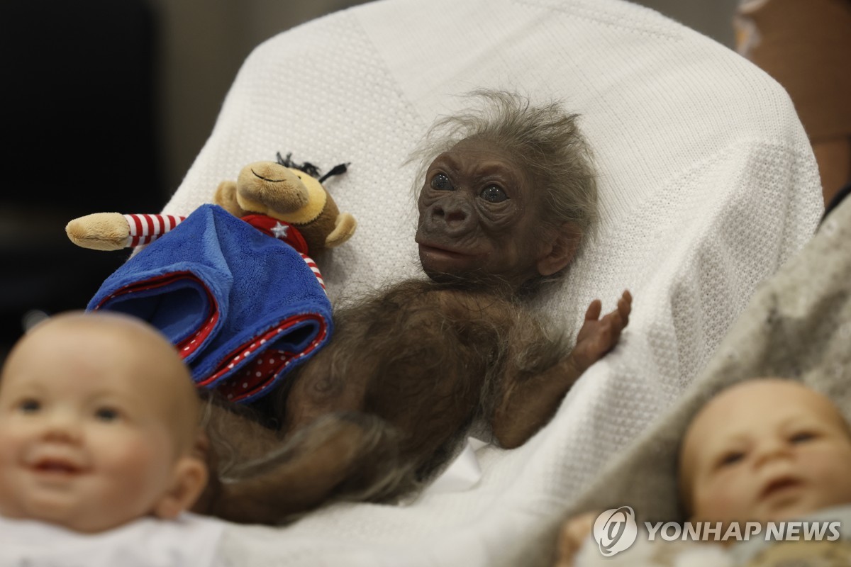 지난 2024년 열린 리얼 베이비돌 박람회에 전시된 판타지 베이비돌 