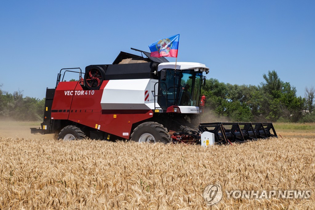 우크라이나 루한스크 지역에서 수확중인 밀