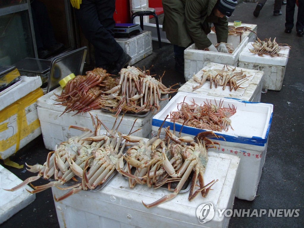 <수출길 막힌 북한산 대게…中서 헐값 세일> | 연합뉴스