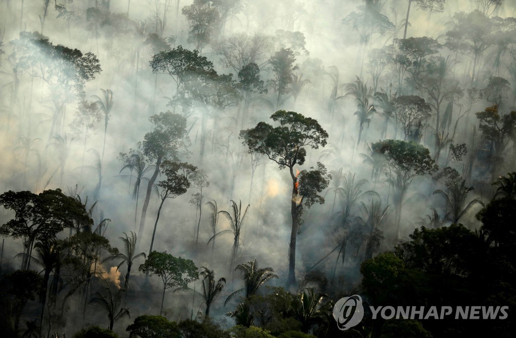 아마존 열대우림의 산불