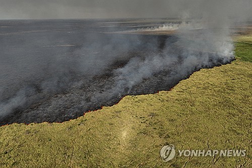 '잿더미 된 생태계'…세계최대습지 판타나우 화재