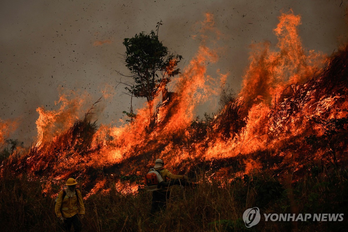 브라질 아마존의 맹렬한 불길