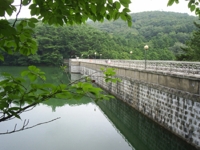 부산 성지곡수원지서 실종된 20대, 9일만에 숨진채 발견