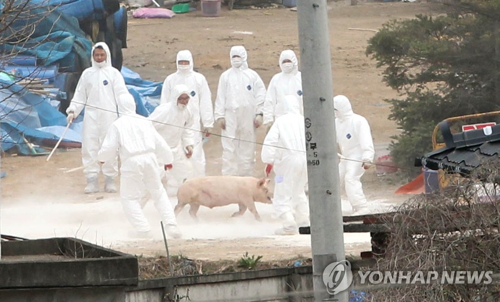 <구제역에 유통업계 `촉각..긴장 모드> | 연합뉴스