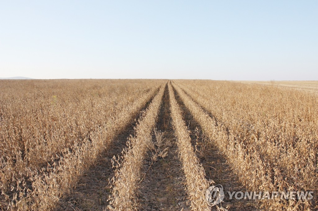 <르포> 한국기업이 일군 연해주 황금들녘 | 연합뉴스