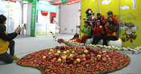 10월 경북엔 수확·낭만 가을 축제 풍성