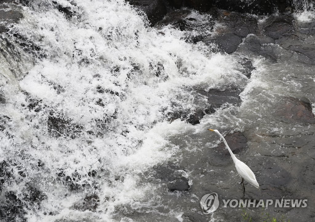 激しい川の流れ 聯合ニュース