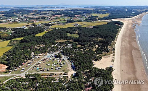 태안 몽산포 명품관광지로 거듭난다…송림학습장·해변공원 조성