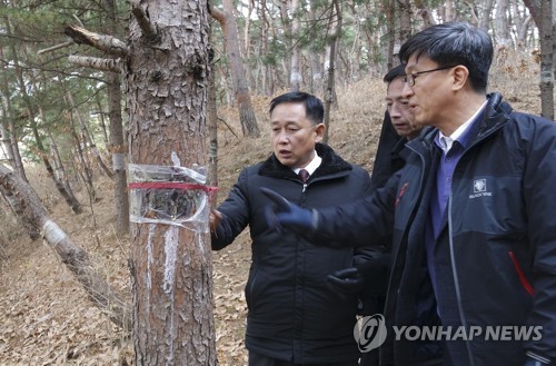 Cooperación forestal intercoreana