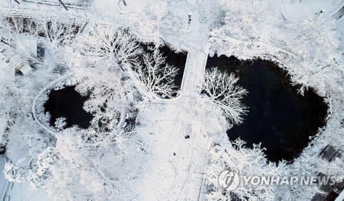 눈축제 기간엔 안 내리더니…태백 수년째 '철없는 봄눈'