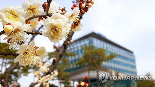  세종시 풀뿌리 민주주의 이끌다…신선한 도전들