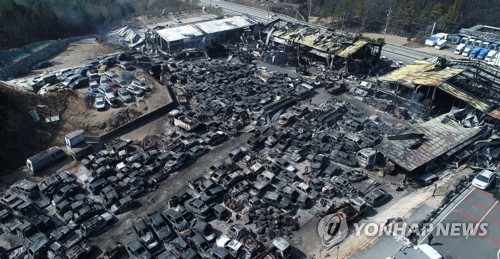 韓国の大規模山火事　サッカー場７３５面分が灰に