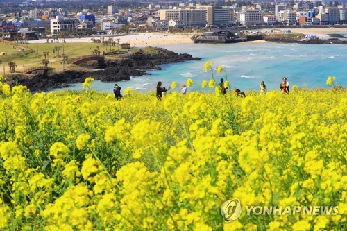 Printemps à l'île de Jeju